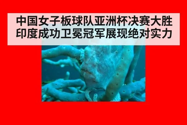 中国女子板球队亚洲杯决赛大胜印度成功卫冕冠军展现绝对实力