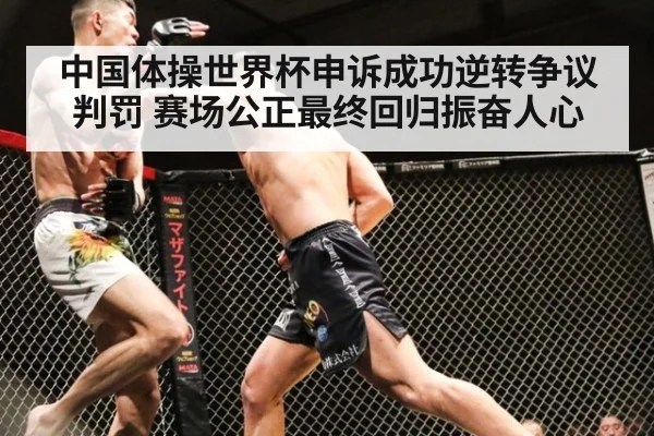 中国体操世界杯申诉成功逆转争议判罚 赛场公正最终回归振奋人心